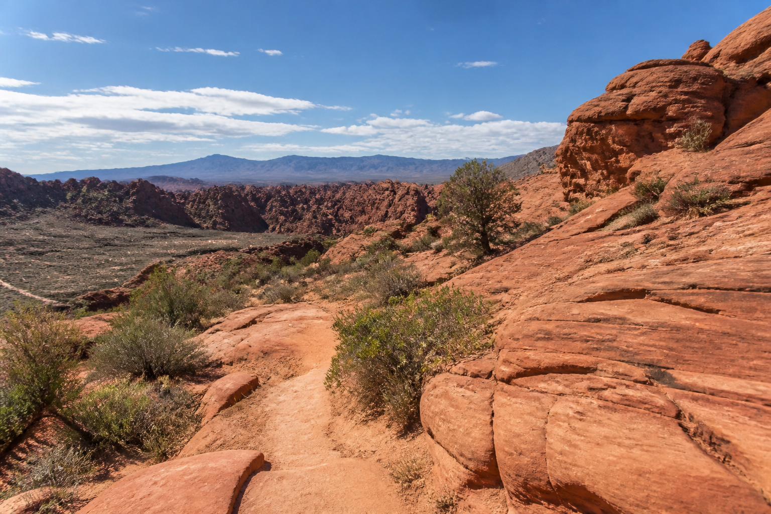 Santa Clara Utah neighborhood homes for sale near Snow Canyon